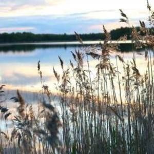 Meet your Posher, Jane